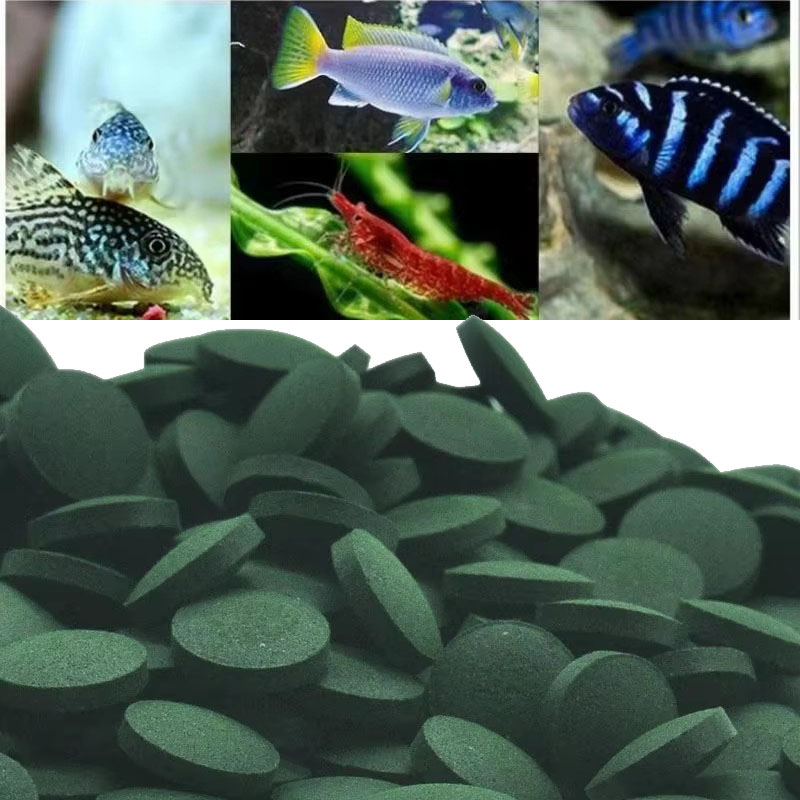 Spirulina Tablet Organic - 50/100/300/500 Stuks Spirulina Tabletten Spiraal Zeewier