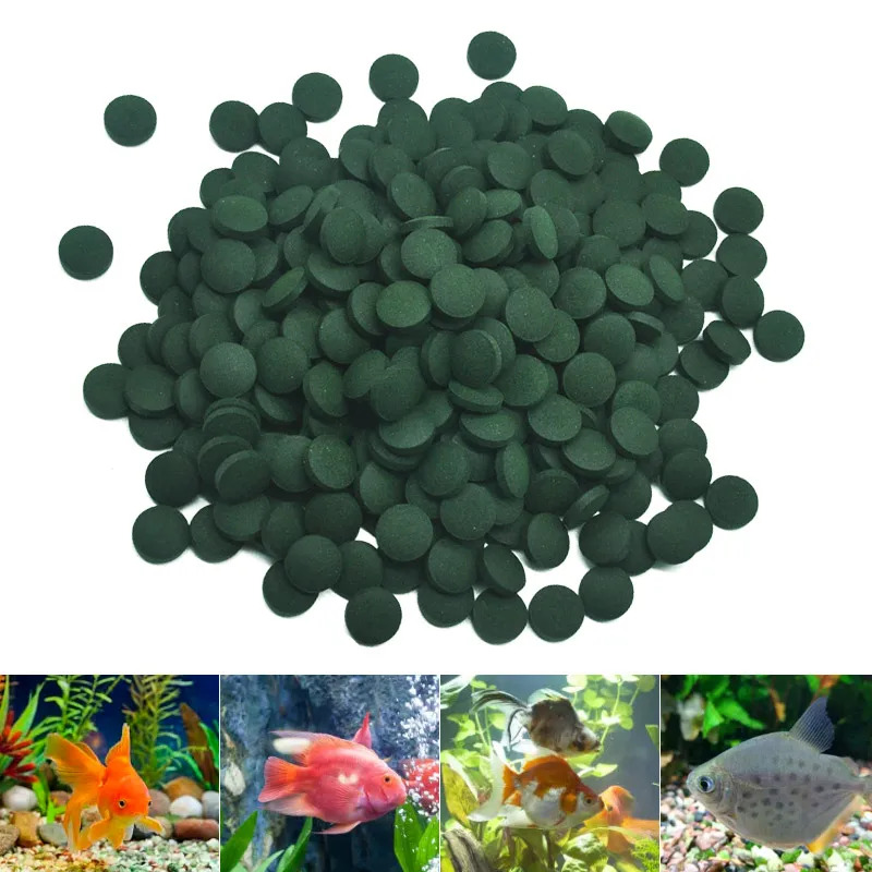 100-3000 st Hoge Zuiverheid Sp - Spirulina Tablet Organic recensie en prijs