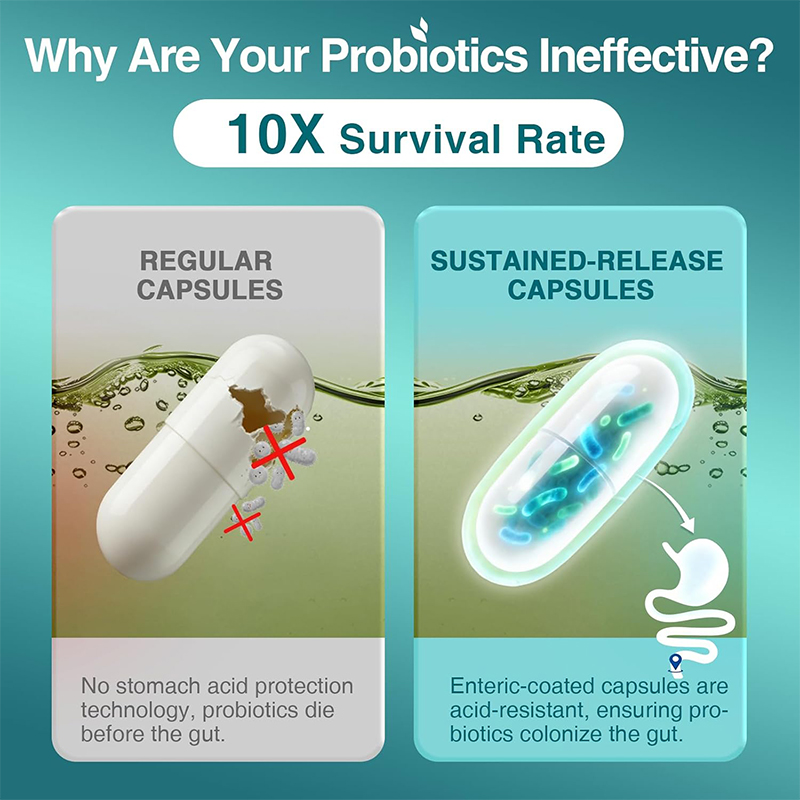 Probiotica voor de spijsverter - Probiotic 60 Billion recensie en prijs